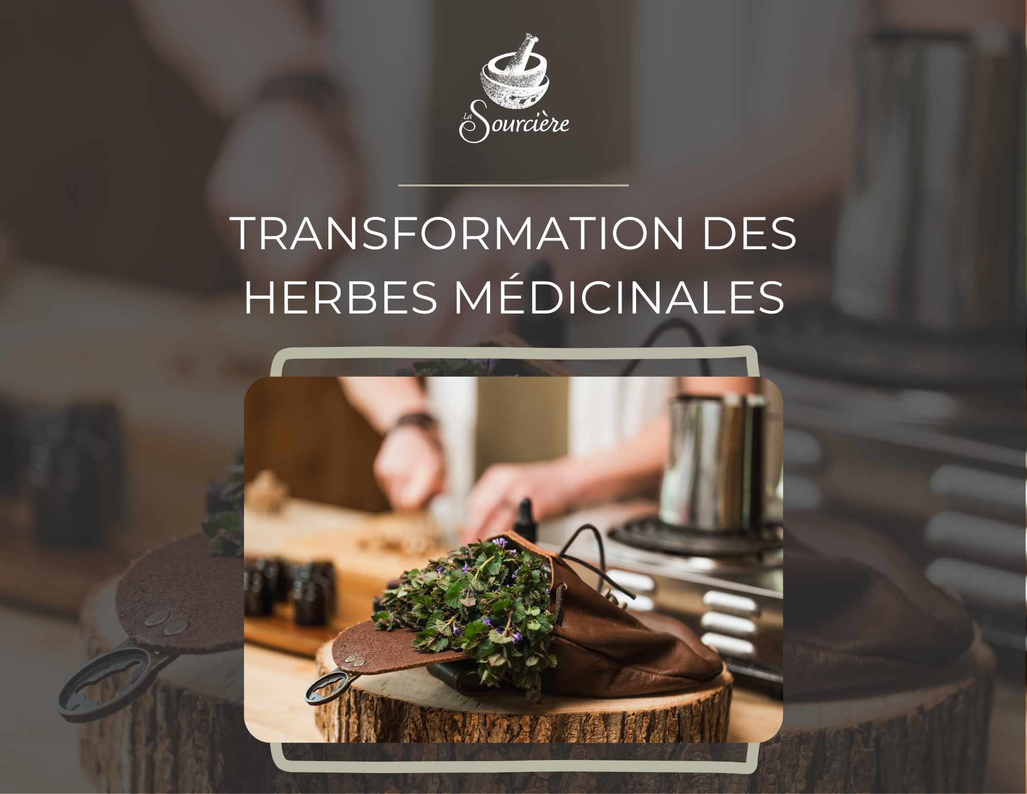 COURS D'HERBES MÉDICINALES