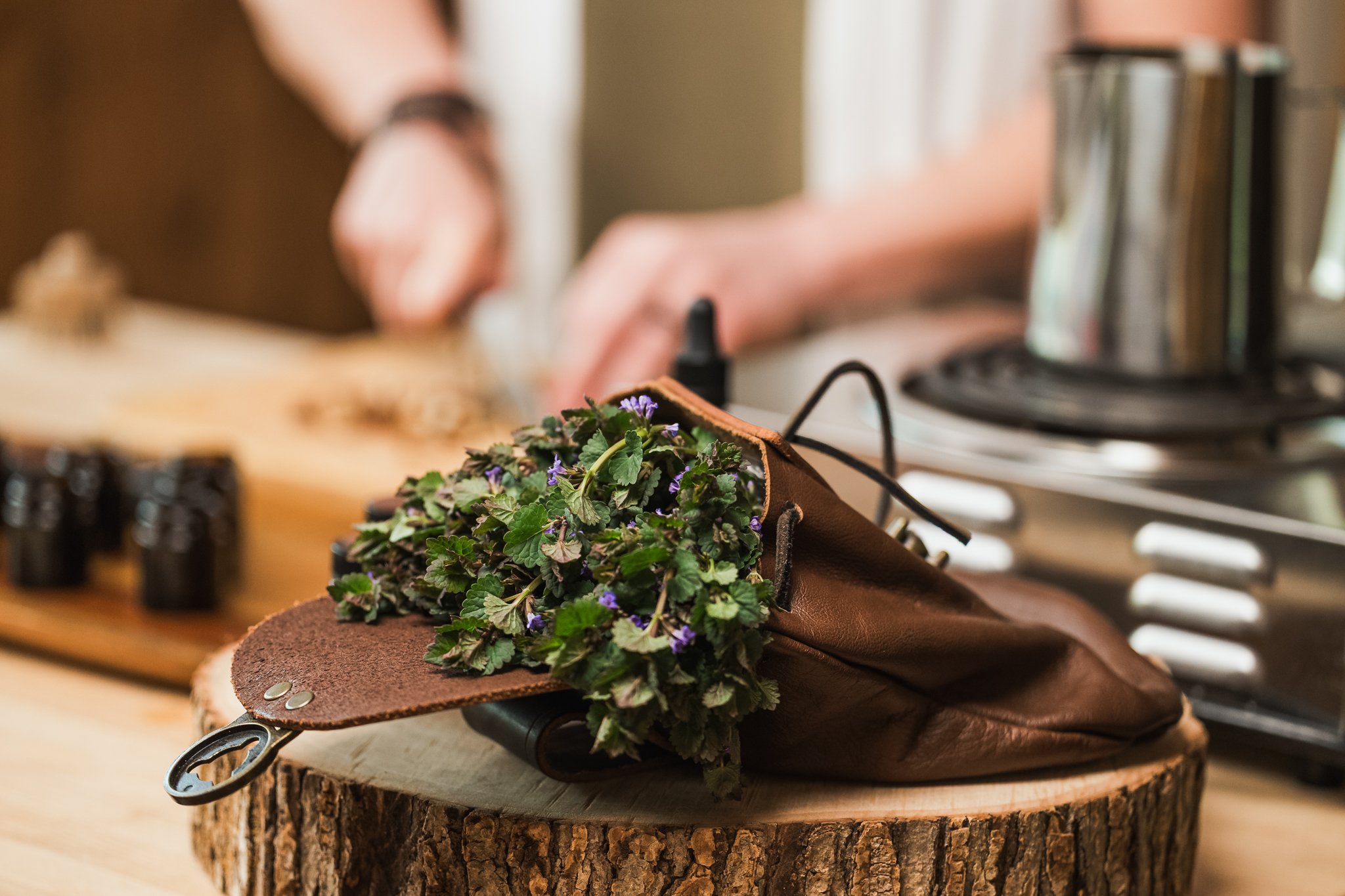 onguents, plantes médicinales, teintures-m;eres